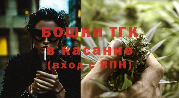 крисы Алексин