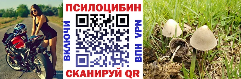 Галлюциногенные грибы Psilocybine cubensis  Сортавала 